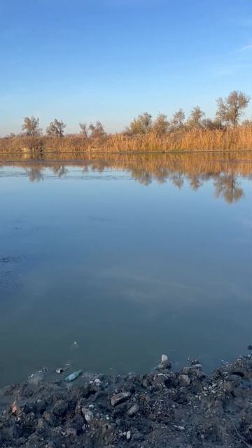 Краснодарский край 20 ноября 2024 г. смотреть онлайн