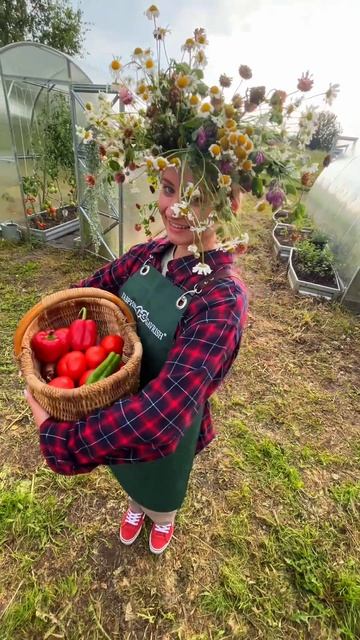 ЭТО НАДО ВИДЕТЬ! #SemenaGavrishShorts #дача #огород #сад #гавриш # смотреть онлайн