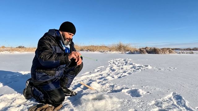 РЫБАЛКА УДАЛАСЬ #андрей_целиноград #рыбалка #ишим #щук? смотреть онлайн