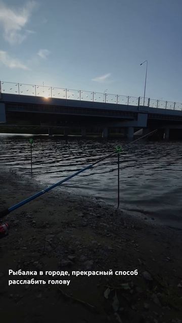 Рыбалка в городе #рыбалка #выходной #город смотреть онлайн