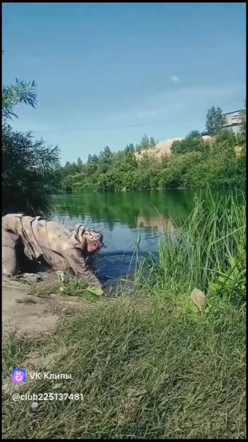 Банды Рыболовы 🎣 смотреть онлайн