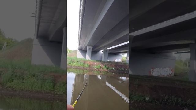 Поклёвка судака на ультралайт #микроджиг #спиннинг #ры смотреть онлайн