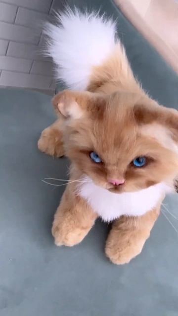 Последний котенок! #искусственныймех #игрушкаручнойр?