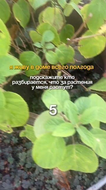 Есть тут знающие люди? 🥲 смотреть онлайн
