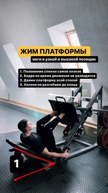 Передняя и задняя поверхность бедра с акцентом на зад? смотреть онлайн