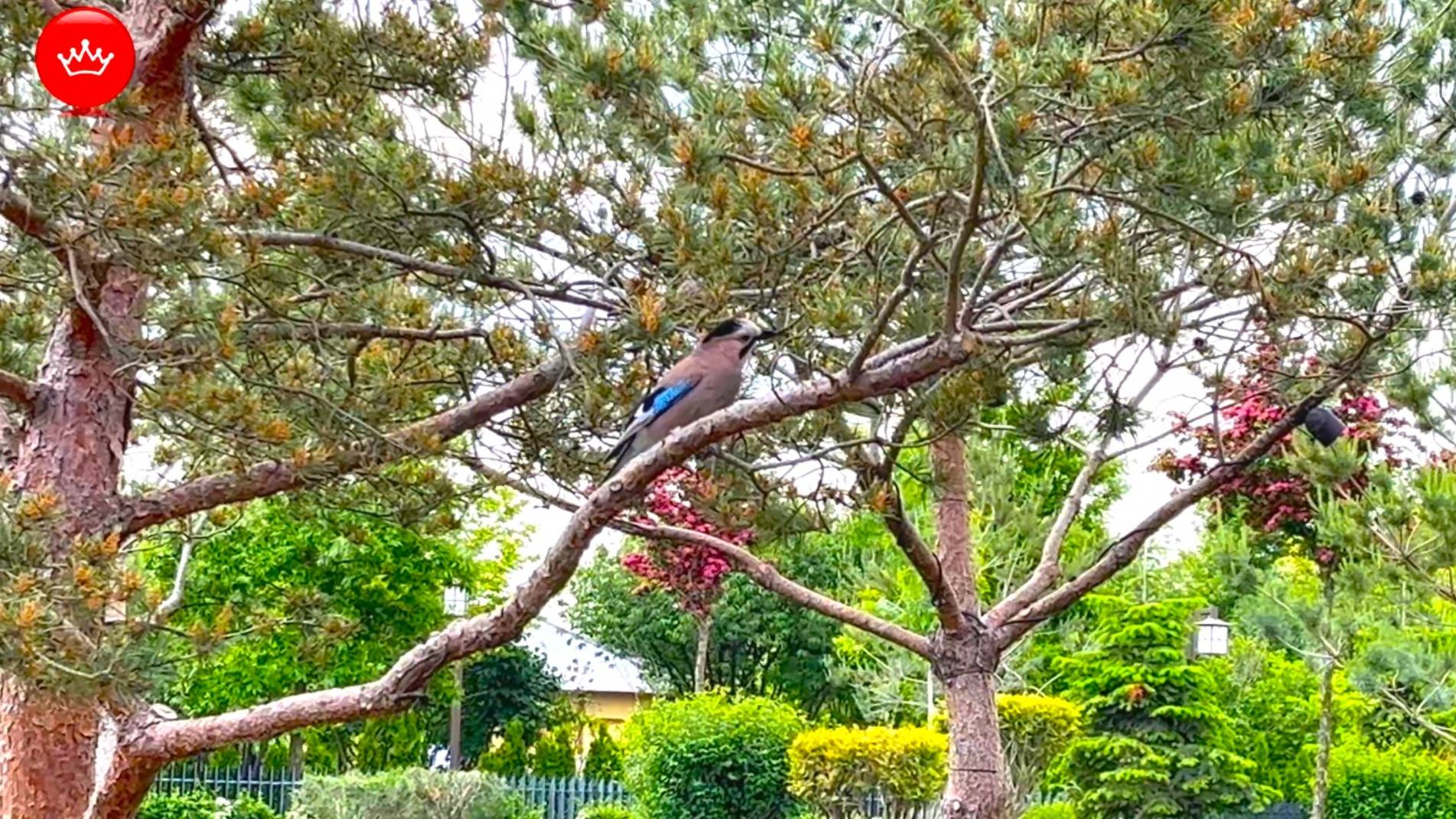 💬2025 Парк Облаков Краснодар май. смотреть онлайн