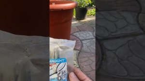 Пластиковый горшок треснул!? Не выкидываем! Есть решен