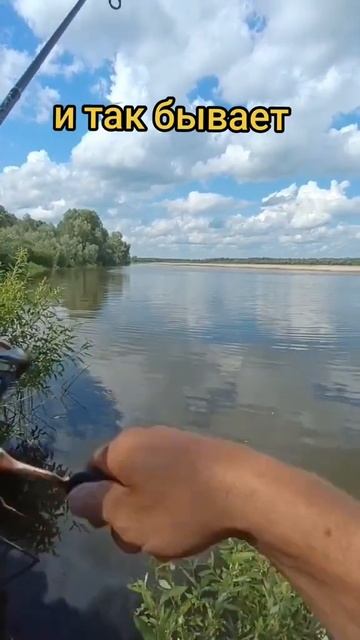 короткие видео приколы юмор смотреть онлайн