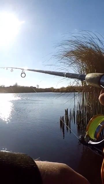 #рыбалка #fishing #щука #твичинг #воблерынащуку #спиннинг смотреть онлайн