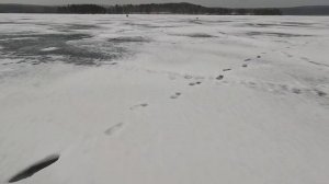 Аргази рыбалка на жерлицы в марте.