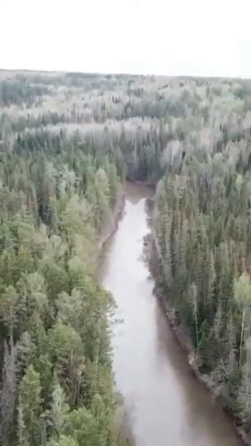 10 В ТАЙГЕ Съемка с Квадрокоптера Пейзажи Сибирской ТА?