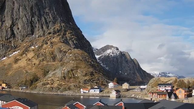 Подсолнечные семена: польза и вред, сколько их можно е?