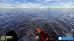 Русская рыбалка 4 (рр4). Ладожский архипелаг. Вэки. Как и