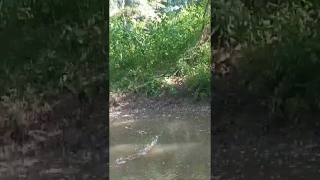 Почти буря. смотреть онлайн