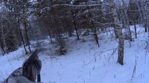 Охота с Русской гончей на зайца 24-25