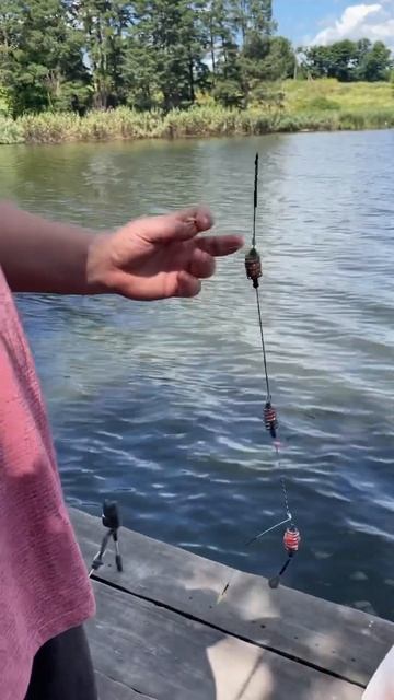 Сама небезпечна снасть #fishing #fishing #shorts