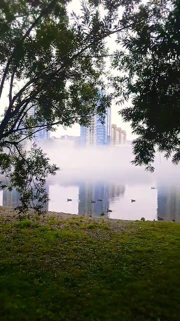 #природа #шортс #111 #жизнь #саморазвитие #видео #время #р?