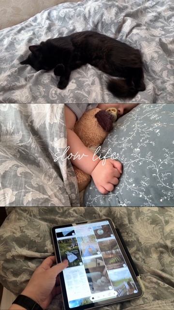 Начинаю вести канал в телеграм про медленную жизнь. Сс смотреть онлайн