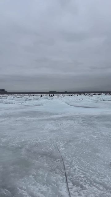 Крайняя рыбалка на корюшку#корюшка #рыбалка #fishing #финс смотреть онлайн