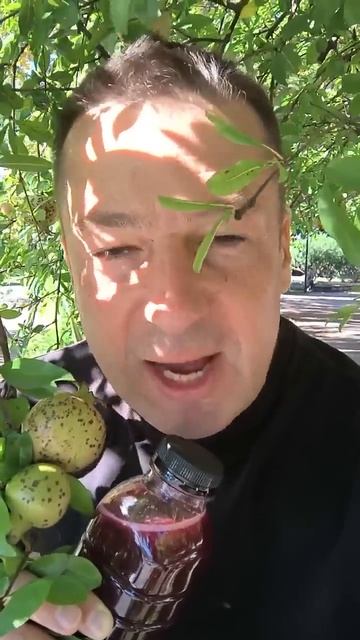 Можно ли пить Гранатовый СОК? Как понять, когда и сколь