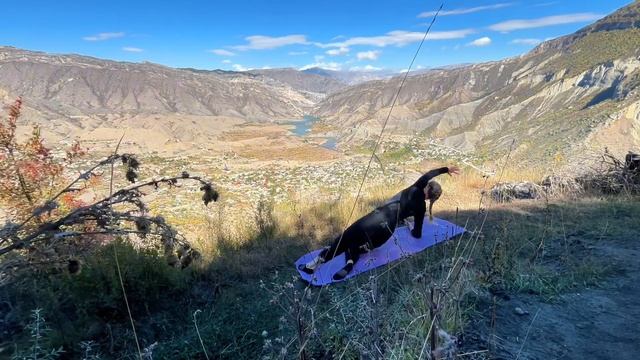 Пилатес на все тело. Тренировка дома без оборудования смотреть онлайн
