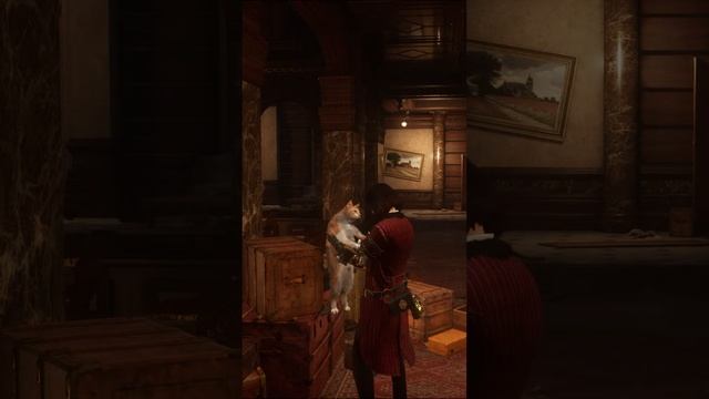 Неочікуваний вимірувач рівня людянності | Lies of P смотреть онлайн