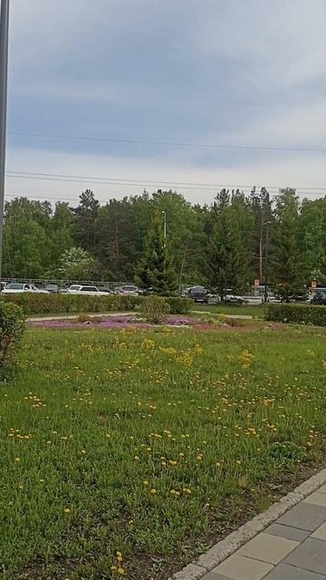 Сибирь, Красноярск, 👀👍 СФУ 25.05.24г. смотреть онлайн