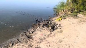 Рыбалка на сазана Волгоградская область