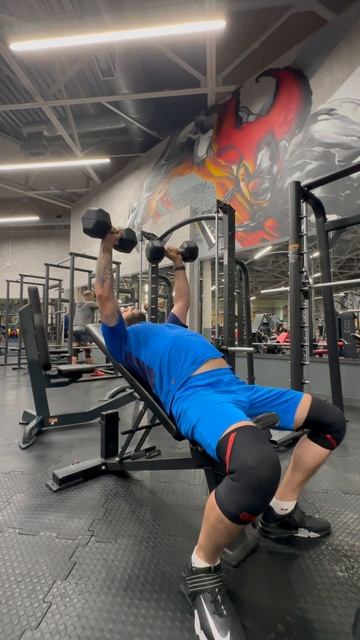 17.06.24 Жим гантелей под углом 45 5*12 смотреть онлайн