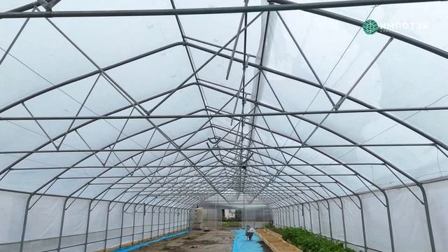 Теплица на Сахалине смотреть онлайн