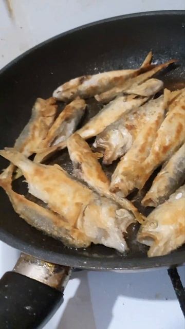 РЫБАЛКА В ЧЕРНОМ МОРЕ И ПРИГОТОВЛЕНИЕ СТАВРИДЫ НА СКО? смотреть онлайн