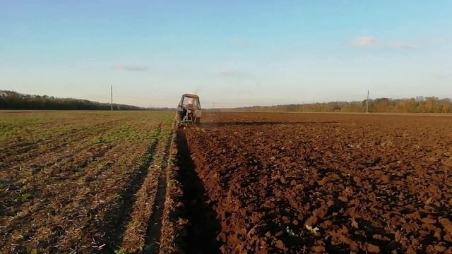ПАХОТА МТЗ 82.1 с плугом Бомет 4/30, глубина 30+. Видео архи смотреть онлайн