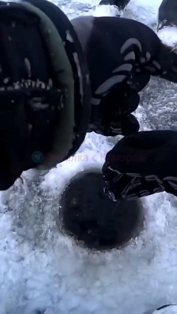 Налим по первому льду #рыбалка #fishing