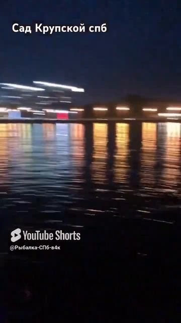 Сад Крупской СПб смотреть онлайн