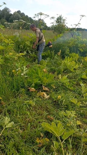 Косит борщевик смотреть онлайн