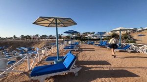 Обзор отеля CLUB REEF RESORT&SPA SHARM| Риф и номер Junior Suite | Недоро?