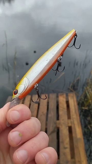 Воблер ТОРПЕДА KAITEN! Мой фаворит для ловли щуки в 2025 год смотреть онлайн