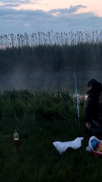 УТРО НА РЫБАЛКЕ ПОСЛЕ НОЧЕВКИ 18-19.05.24 #fishing #природа смотреть онлайн