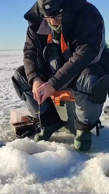 Если перестало клевать ,попробуйте поиграть . #мормышк смотреть онлайн