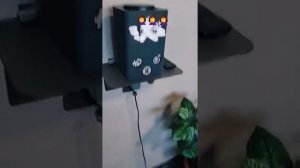 Яндекс Алиса топит за своих   Алиса приколы   тик ток приколы   лучшие приколы