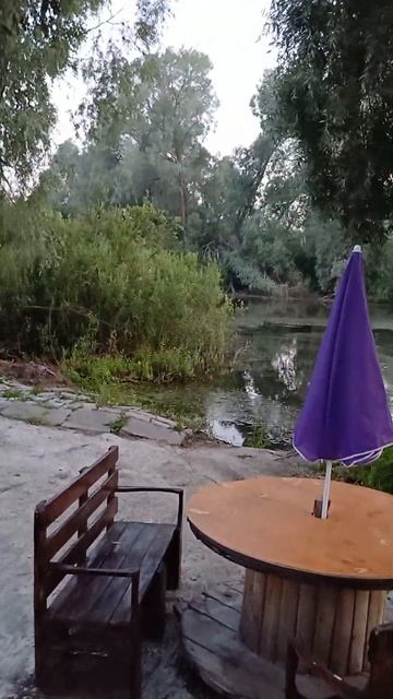 домик на берегу пруда смотреть онлайн