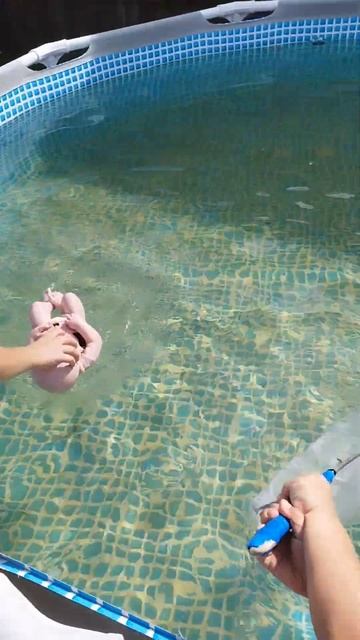 / Мама! хотим купаться! / #деревенскаяжизнь смотреть онлайн