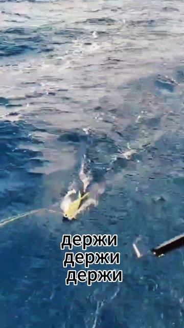 Поймали атлантическую рыбу.