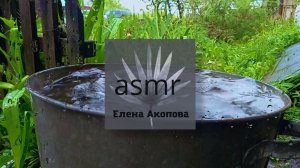 Дождь переполняет ёмкость во дворе. АСМР. Звуки дождя