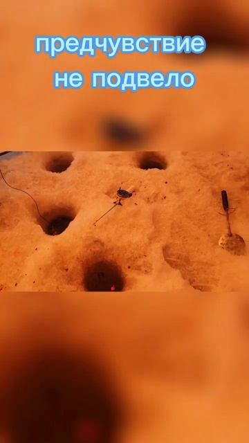 Здесь рыбы нет 😊 #зимняяловлярыбы #fishing #рыбалка #улов смотреть онлайн