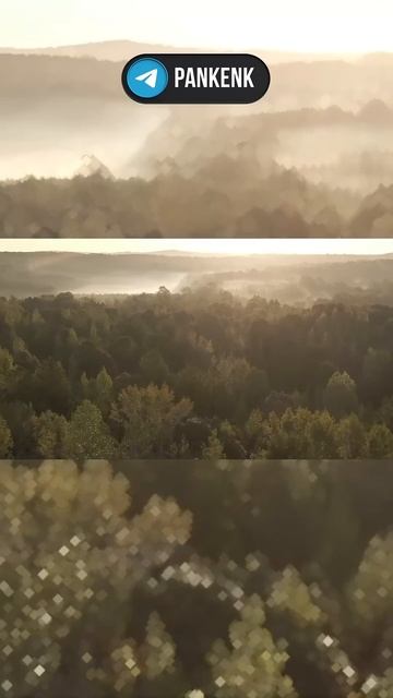 Самая Пугающая Рыба Амазонки #shorts смотреть онлайн