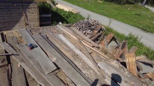 Осиное гнездо, гнезда нет - осы остались. Жизнь на Алтае после переезда.