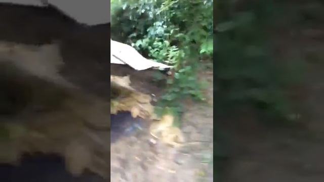 Школа выживания смотреть онлайн