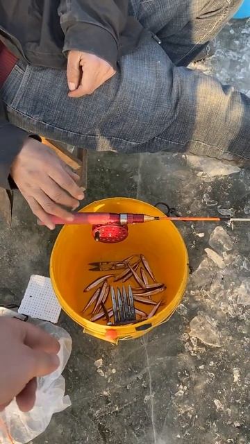 Секреты китайской рыбалки #shorts #китай #рыбалка #прикол смотреть онлайн