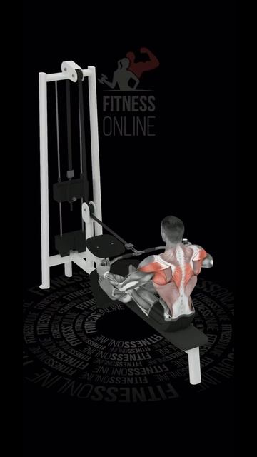 Горизонтальная тяга широким параллельным хватом к жи? смотреть онлайн